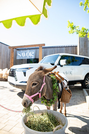 20260503_sarakaussphotography_0171_LR