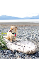 sara_kauss_photography_1724