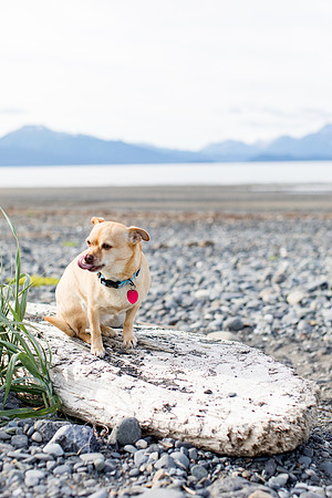 sara_kauss_photography_1724