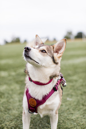 sara_kauss_photography_4427