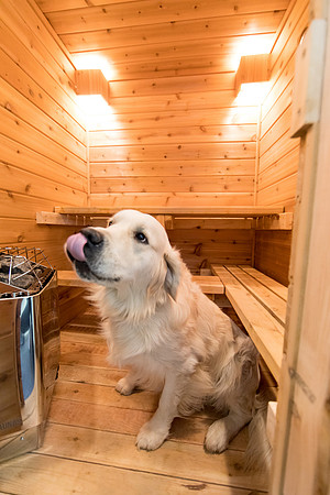 sara-kauss-photography-7189