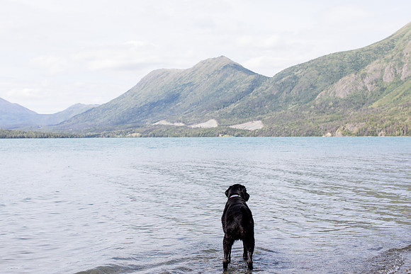 sara_kauss_photography_4246