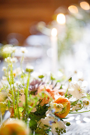 sara_kauss_photography_2433