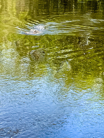 sara_kauss_photography_20230509120139