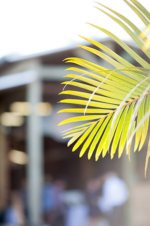 sara-kauss-photography-5072