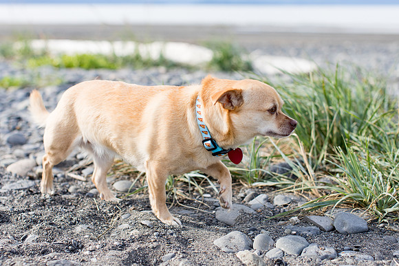 sara_kauss_photography_1711