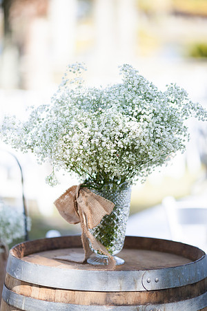 0015_Sara Kauss_2581