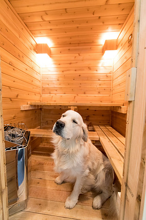 sara-kauss-photography-7192