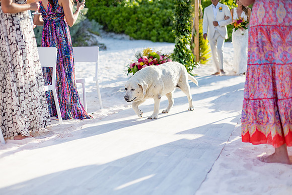 sara_kauss_photography_2886