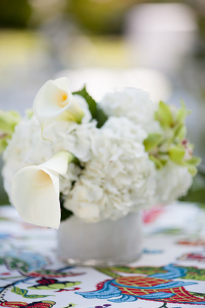 0165_Sara Kauss Photography_6313