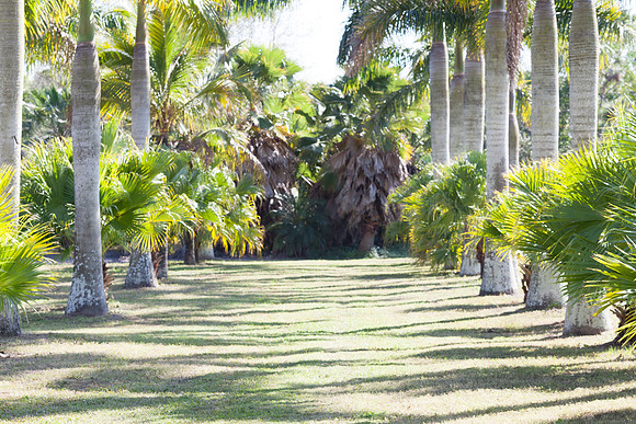 0155_Sara Kauss_2659