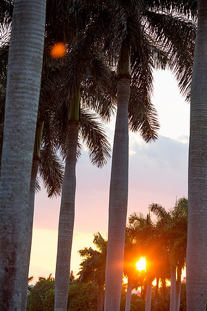 0410_Sara Kauss Photography_1889