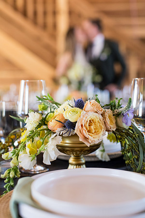 sara_kauss_photography_8681