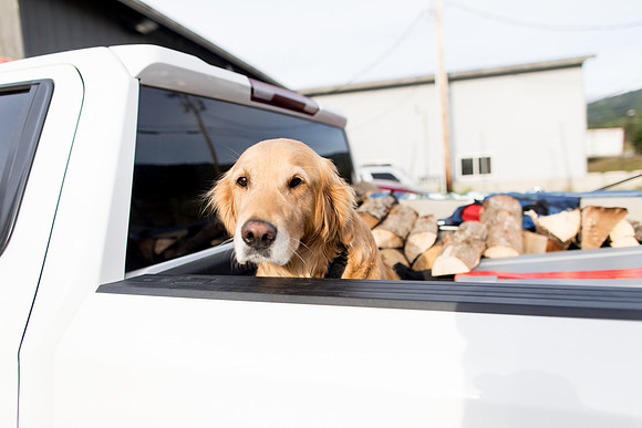 sara_kauss_photography_3791