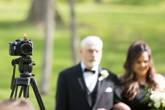 sara_kauss_photography_4089