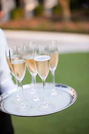 0311_Sara Kauss Photography_6778