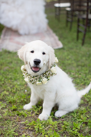 sara-kauss-photography-4913