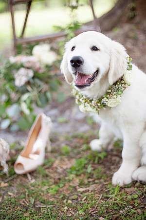 0018_sara-kauss-photography-0128