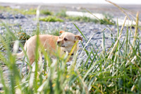 sara_kauss_photography_1713