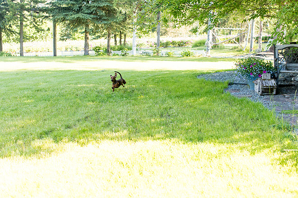 sara_kauss_photography_7956