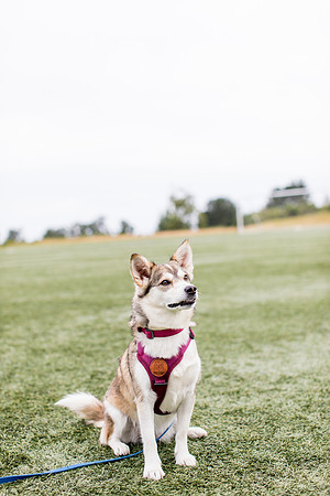 sara_kauss_photography_4421