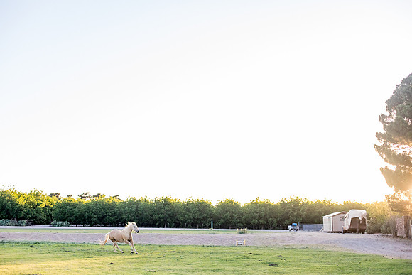 sara-kauss-photography-9254