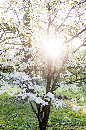 sara-kauss-photography-3723