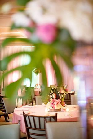 sara_kauss_photography_0011