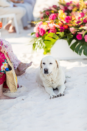 sara_kauss_photography_3041