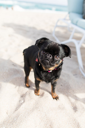 sara-kauss-photography-1894