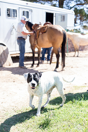 sara-kauss-photography-9416