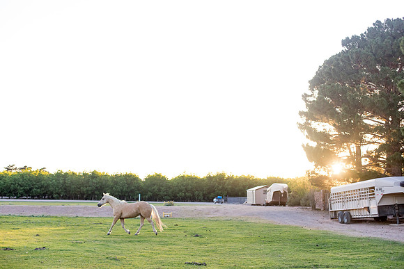 sara-kauss-photography-9258