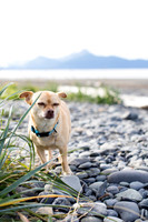 sara_kauss_photography_1721