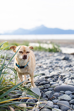 sara_kauss_photography_1721