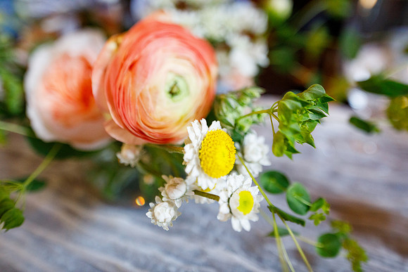 sara_kauss_photography_2336