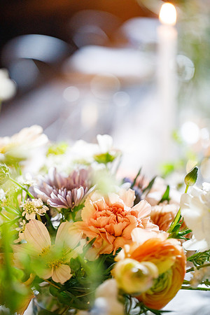 sara_kauss_photography_2434