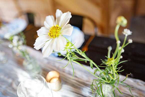 sara_kauss_photography_2338