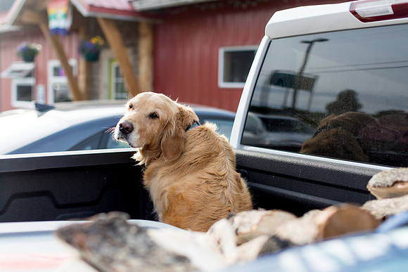 sara_kauss_photography_3805