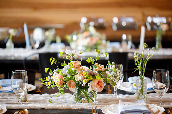 sara_kauss_photography_2674