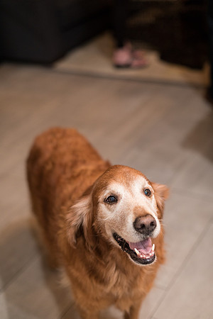 sara-kauss-photography-5018