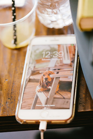 sara-kauss-photography-0919