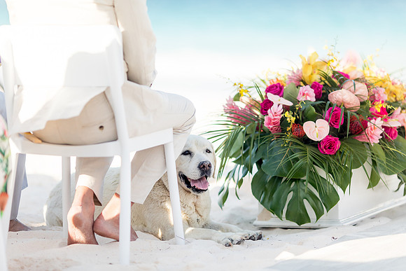 sara_kauss_photography_3001