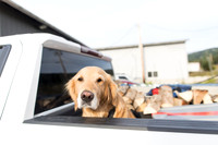 sara_kauss_photography_3794