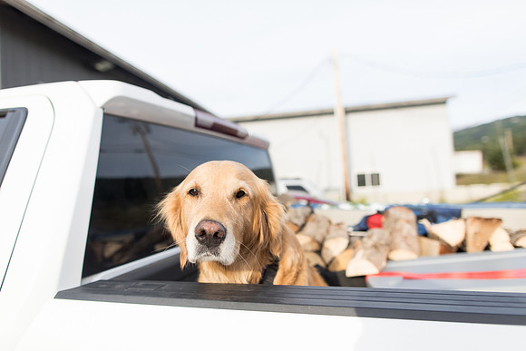 sara_kauss_photography_3794