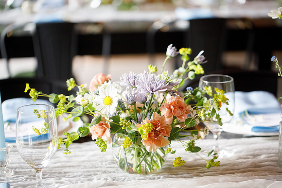 sara_kauss_photography_2660
