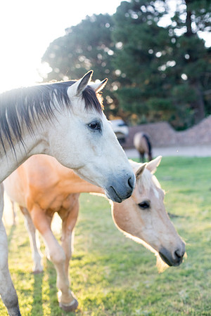 sara-kauss-photography-9202