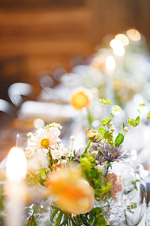 sara_kauss_photography_2423