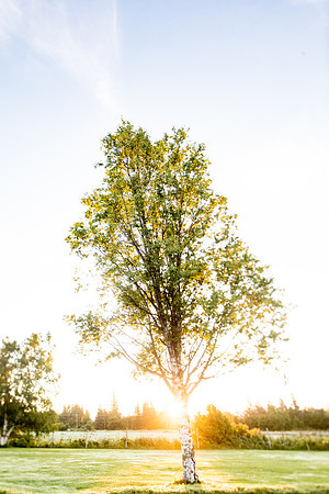 sara-kauss-photography-0920