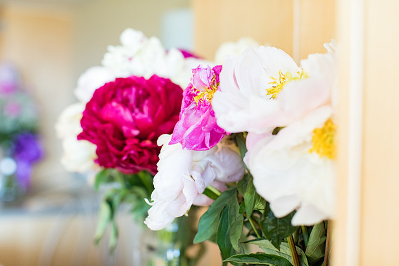 sara-kauss-photography-1042