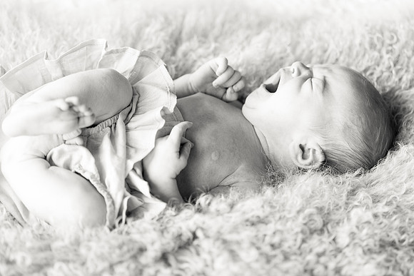 sara-kauss-photography-1390